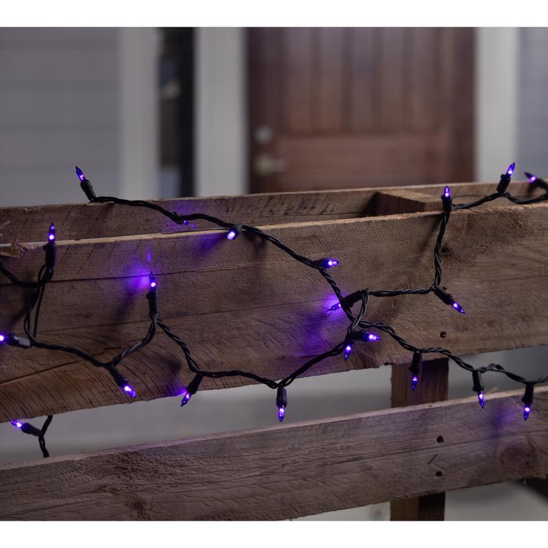 Celebrations Purple 100 ct LED String Lights