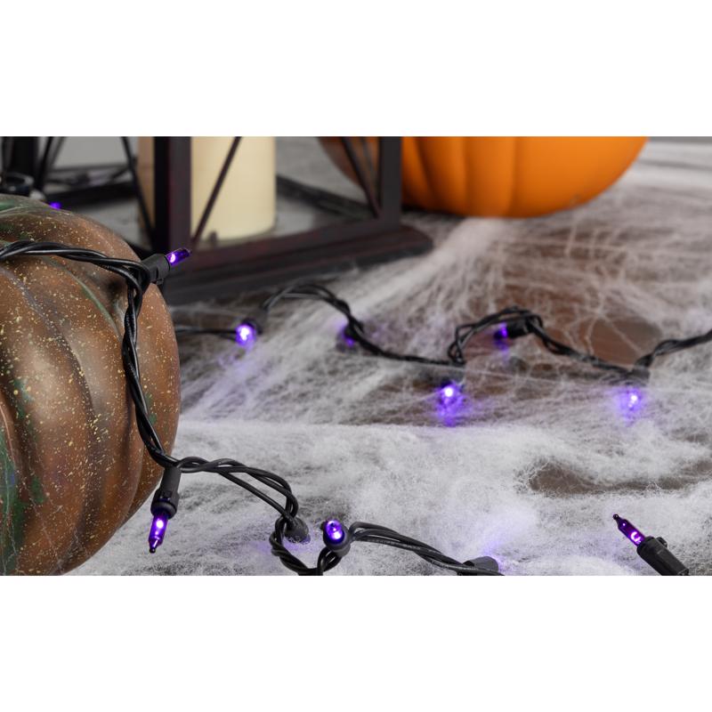 Celebrations Purple 100 ct LED String Lights