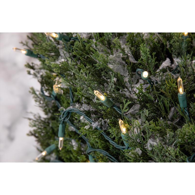 Celebrations Platinum LED T5 Warm White 50 ct String Christmas Lights