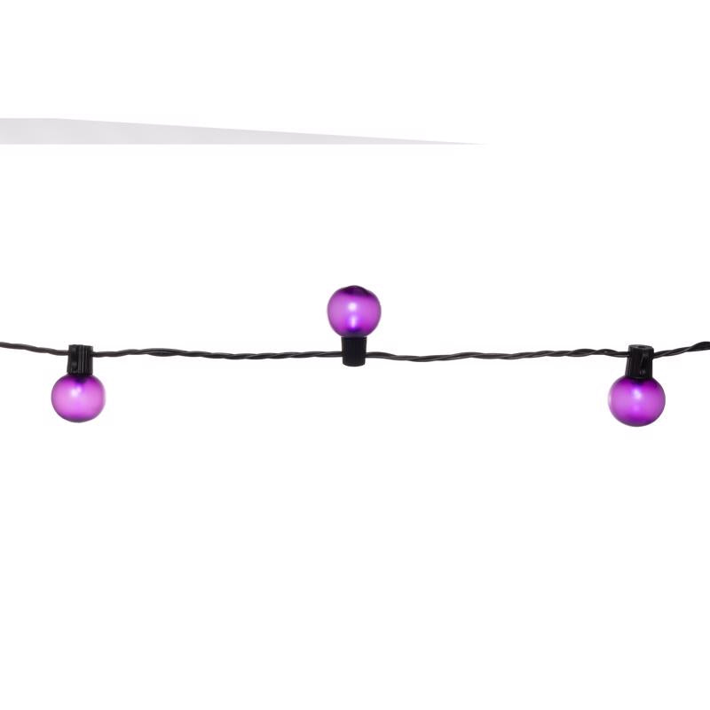 Celebrations Purple 25 ct LED Smooth Frosted Halloween Lights