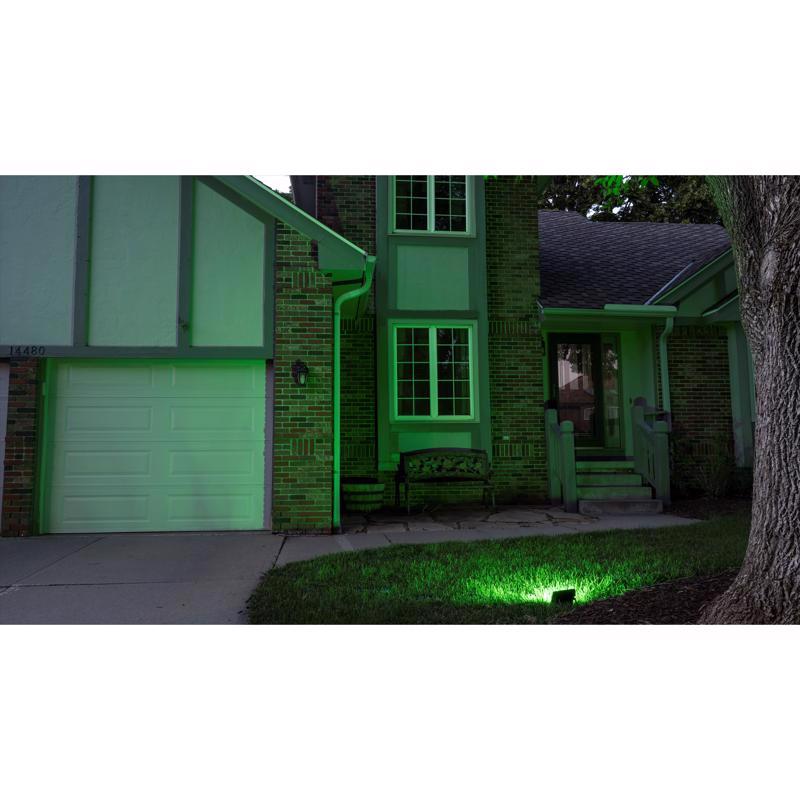 Celebrations Platinum LED RGBW Novelty Smart-Enabled Christmas Lights, Pack of 4