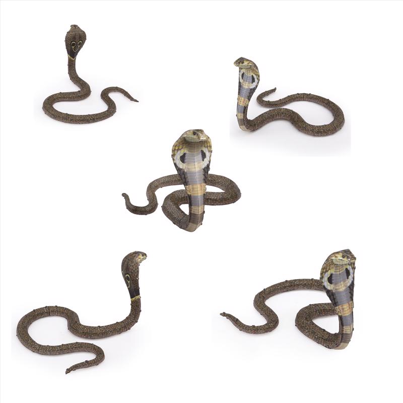 Metal Earth Cobra Snake 3D Metal Model Kit
