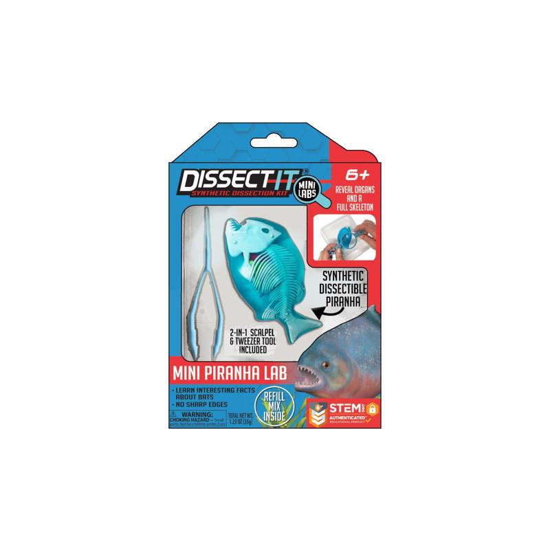 Crazart Frog, Salamander, Piranha, and Bat Dissect It Mini Lab, Pack of 12