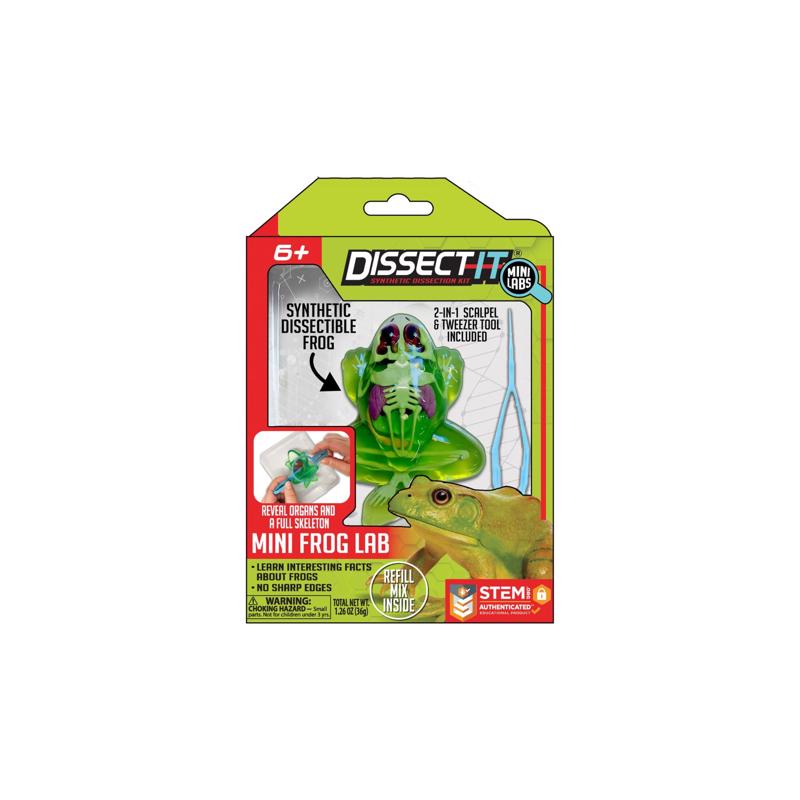 Crazart Frog, Salamander, Piranha, and Bat Dissect It Mini Lab, Pack of 12