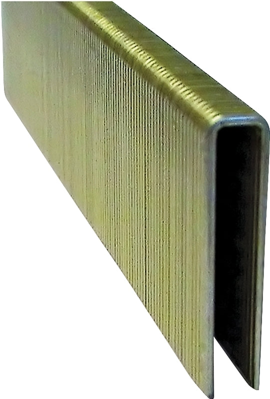 ProFIT 718230 Crown Staple, 1/4 in W Crown, 1/2 in L Leg, 18 ga, Electro-Galvanized