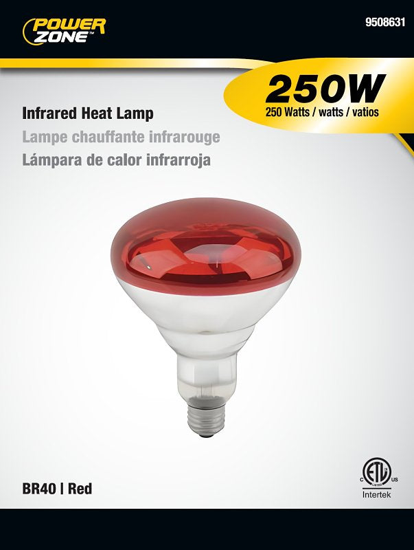 BELL LINK CL-H250R-ST Incandescent Heat Lamp, 250 W, BR40 Lamp