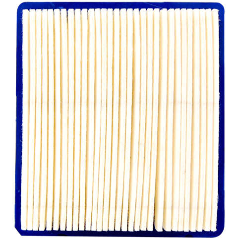 Arnold Air Filter