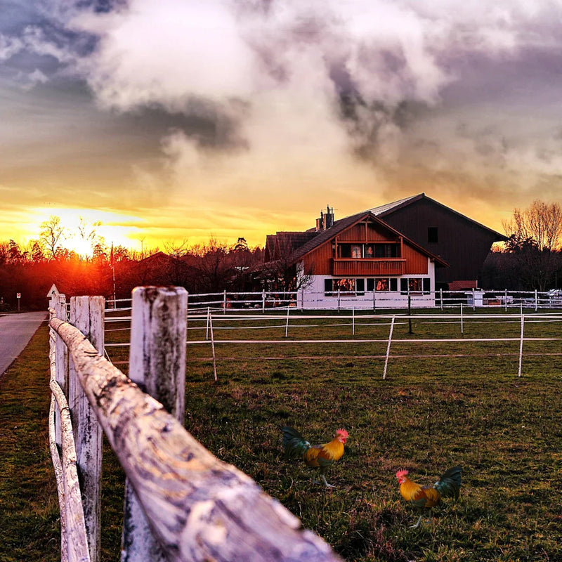 Picture of farm and ranch
