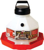 Little Giant PPF3 Poultry Waterer, 3 gal Capacity, Plastic, Red, Pack of 2