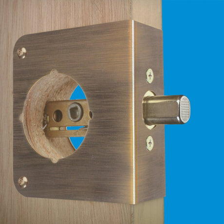 Prime-Line U 9572 Lock and Door Reinforcer, 2-3/8 in Backset, 1-3/8 in Thick Door, Brass, Antique Brass, 4-1/2 in H