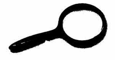 Thermor GR204 Magnifier, 2 to 4 Magnification, Black