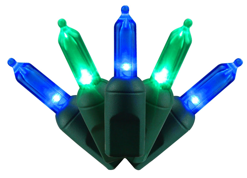 Holiday Bright Lights LEDBX-T550-BGC6 Strobe Set, 50-Lamp, T5 LED Lamp, 26 ft L