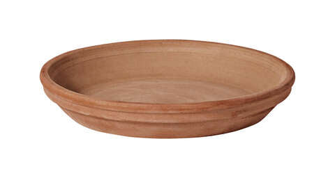 Deroma Moka 0.74 in. H X 6 in. D Clay Standard Plant Saucer Terracotta, Pack of 24