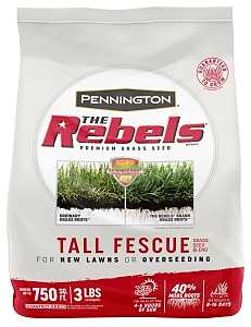 Pennington 100543728 Grass Seed, 3 lb Bag, 750 sq-ft Coverage Area, Tall Fescue, 2/PK