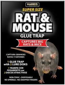 Harris BLKRAT-1 Rat and Mouse Glue Trap, Cardboard