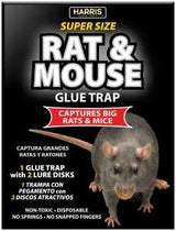 Harris BLKRAT-1 Rat and Mouse Glue Trap, Cardboard