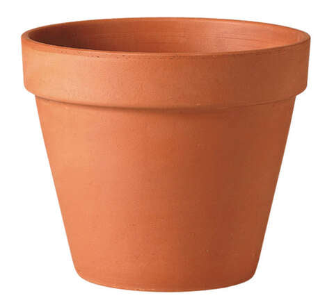 Deroma 9 in. H X 10 in. D Clay Traditional Planter Terracotta, Pack of 8