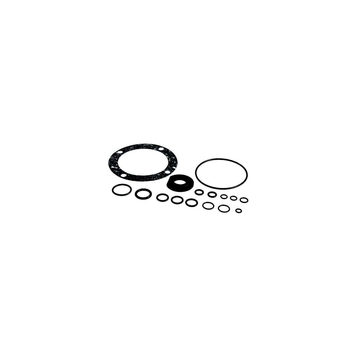 SeaStar HS5161 Seal Kit - Fits Select Capilano Helm Pumps