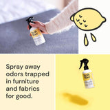 Fresh Wave Lemon Scent Air Freshener Spray 8 oz Liquid 1 pk, Pack of 6