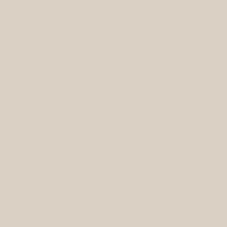 Samplize Benjamin Moore Pale Oak Peel & Stick Color Sample OC-20, Pack of 8