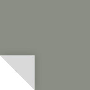 Samplize Benjamin Moore Carolina Gull Peel & Stick Color Sample 2138-40, Pack of 8