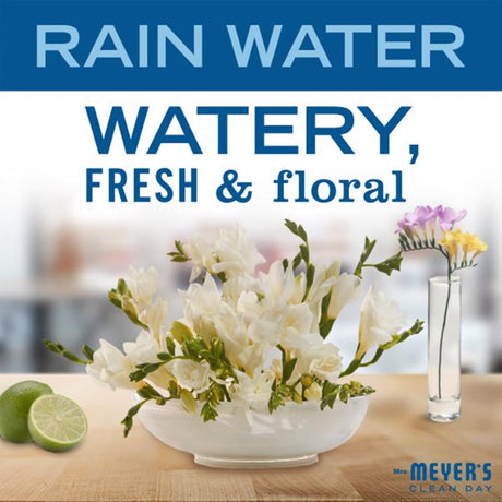 Mrs. Meyer's Clean Day Rain Water Scent Laundry Detergent Liquid 24.3 oz 1 pk, Pack of 6