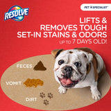 Resolve No Scent Pet Stain Carpet Cleaner 22 oz Foam, Pack of 6