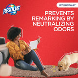 Resolve No Scent Pet Stain Carpet Cleaner 22 oz Foam, Pack of 6