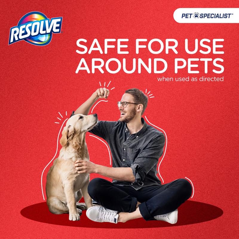 Resolve No Scent Pet Stain Carpet Cleaner 22 oz Foam, Pack of 6