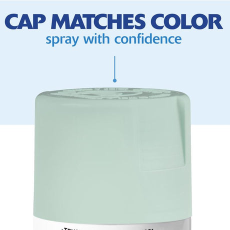 Rust-Oleum Painter's Touch 2X Ultra Cover Satin Renew Paint+Primer Spray Paint 12 oz, Pack of 6
