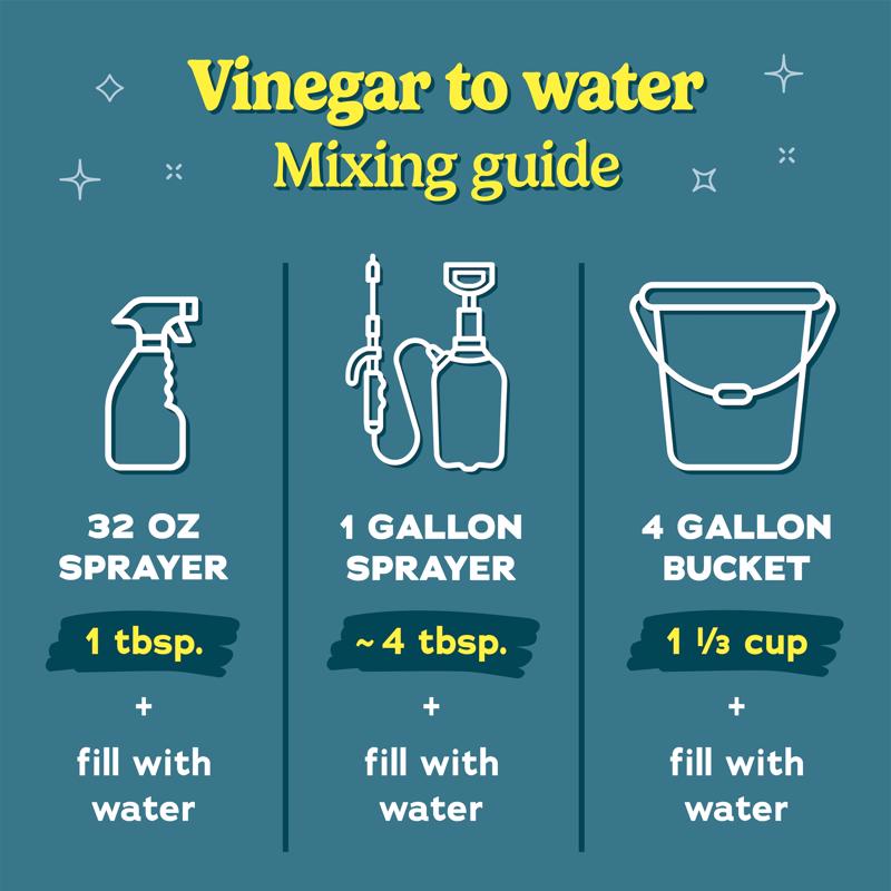 Worry Free Non-Scented Scent Concentrated All Purpose Cleaning Vinegar Liquid 1 gal, Pack of 4