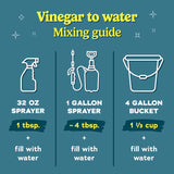 Worry Free Non-Scented Scent Concentrated All Purpose Cleaning Vinegar Liquid 1 gal, Pack of 4