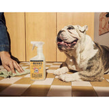 Mrs. Meyer's Clean Day Pets Liquid Multi-Surface Cleaner 16 oz, Pack of 6