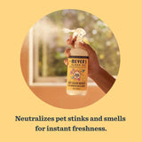 Mrs. Meyer's Clean Day Pets Liquid Odor Neutralizer 12 oz, Pack of 6