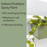 Krylon Fusion All-In-One Satin Dried Rosemary All-In-One Spray Paint 12 oz, Pack of 6