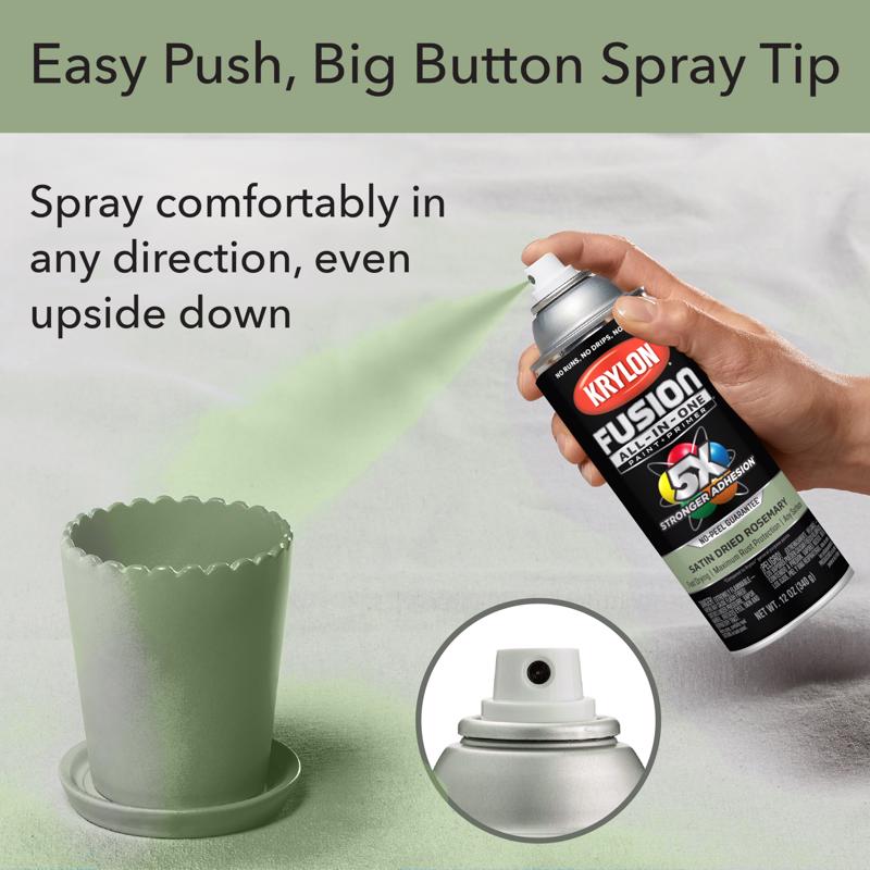 Krylon Fusion All-In-One Satin Dried Rosemary All-In-One Spray Paint 12 oz, Pack of 6