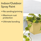 Krylon Fusion All-in-One Satin Buttercup Paint +Primer 12 oz, Pack of 6