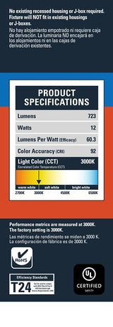 LIGHT RCSD LED W/DIR MT KT 4IN