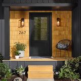 Cabot Wood Toned Transparent Cedar Oil-Based Deck and Siding Stain 1 gal, Pack of 4