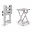 Camco Aluminum Folding Table