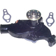 ENGINE CIRC PUMP-GM V6   SB V8