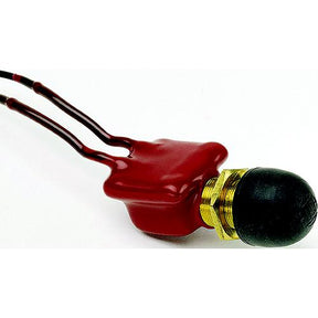 Coated Push Button Swtch w/12