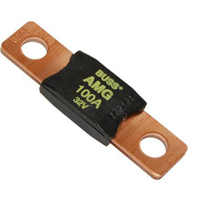 Fuse Mega 100 Amp/32 Volt