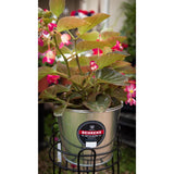 Behrens 5 qt Galvanized Pail Silver