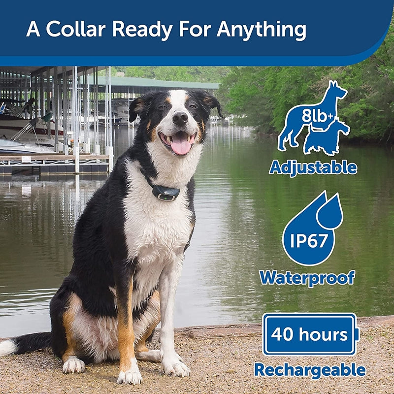 PetSafe PDT00-16117 Remote Trainer, Battery, 300 yd Control