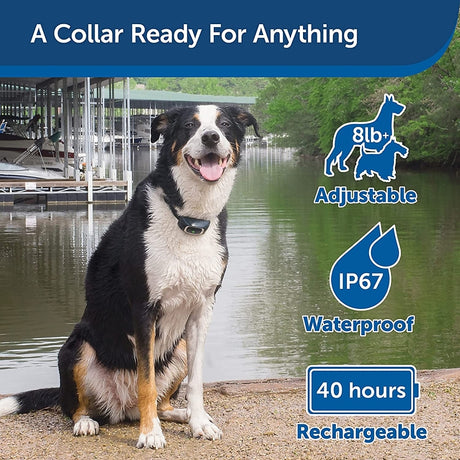 PetSafe PDT00-16117 Remote Trainer, Battery, 300 yd Control
