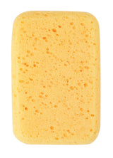 Ace Medium Duty Sponge For All Purpose 7 in. L 1 pc, Pack of 12