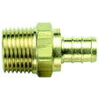 Bristol 49UTMC33 QestPEX Male Adapter, 1/2" Barb x 1/2" MPT