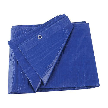 Blue Vinyl Tarp, 20' X 30'