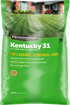Pennington Kentucky 31 Series 100516056 Grass Seed, 50 lb Bag